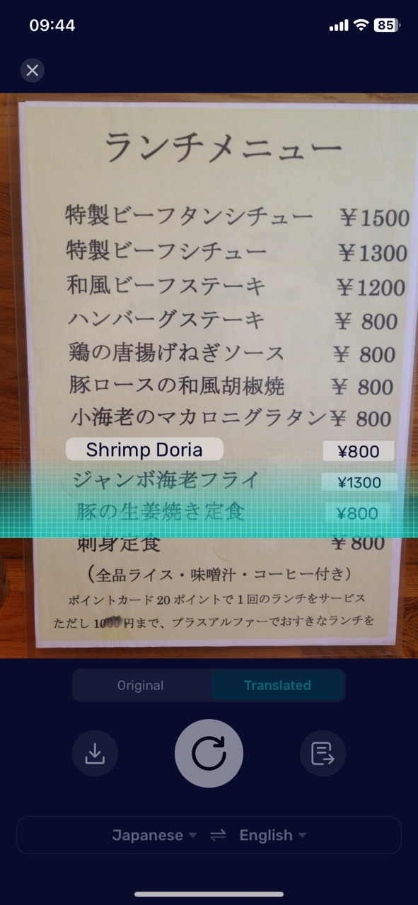 Camera Photo Translation
