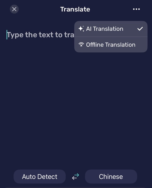 offline text translation